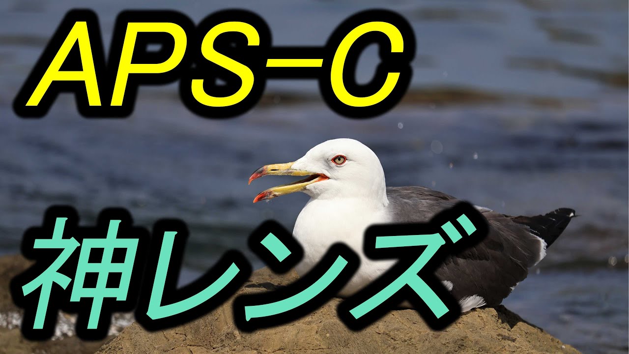 APS-C 用、神レンズ - YouTube