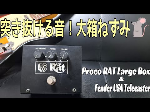 Rough and gingin! ! ] Proco RAT Large Box & Fender USA Telecaster