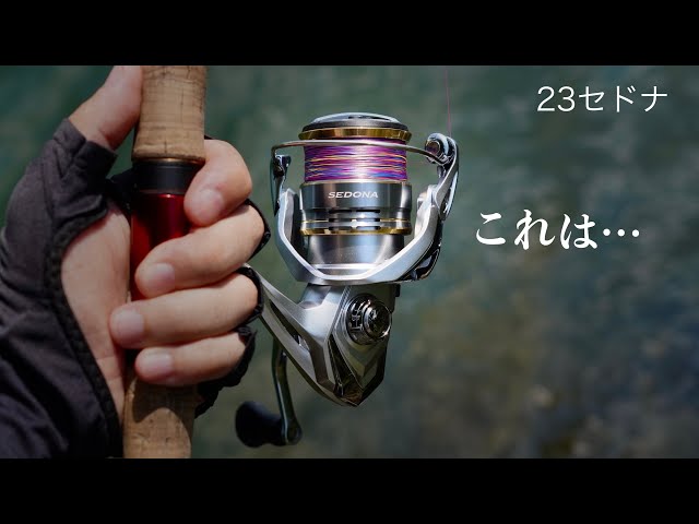 23 Sedona: What is the performance of this ultra-low-priced