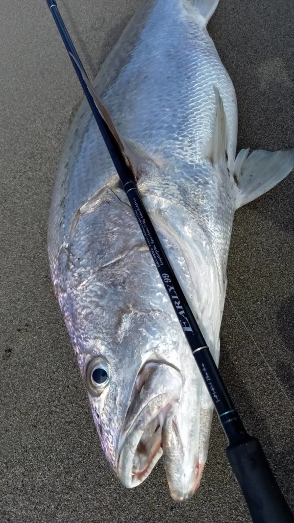 ミドルクラスを網羅】ヤマガブランクスNEWロッドシリーズ「EARLY