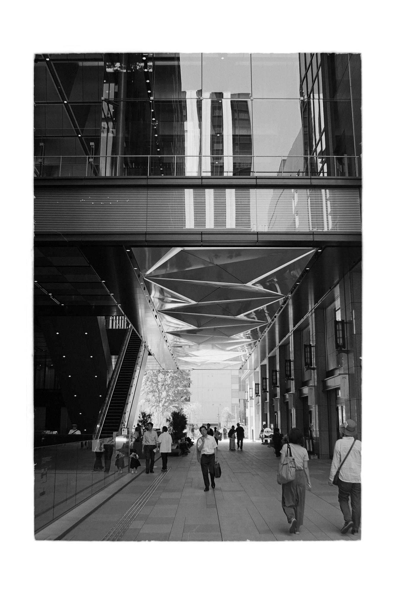 ミノルタα-5000（1986年6月15日配布物） | カメラカタログ通販