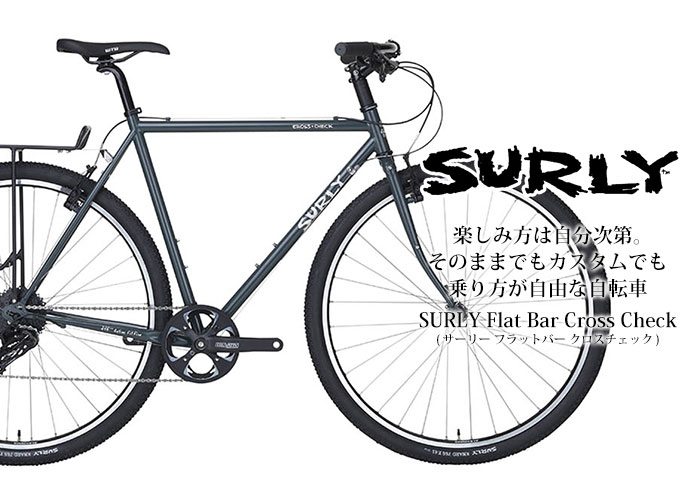 20170124-surly-flatbar-