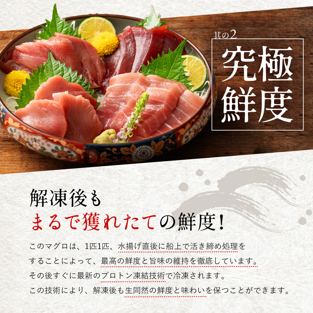 高知県産 一極 本まぐろ 大トロセット – 池澤鮮魚オンラインショップ