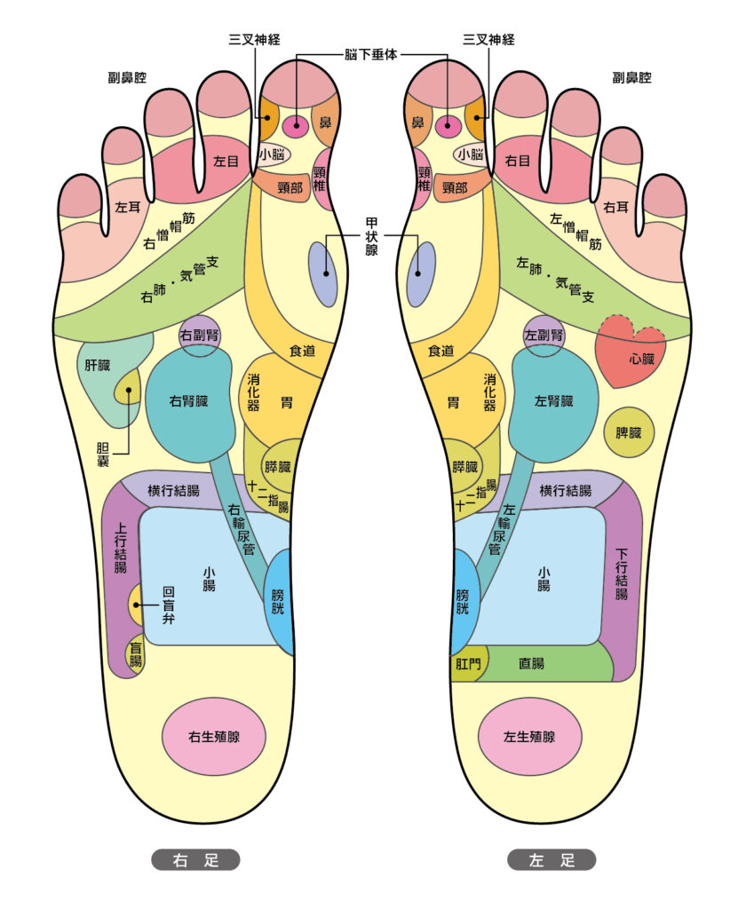 足つぼマッサージの効果を解説！簡単セルフケアもご紹介 | お知らせ