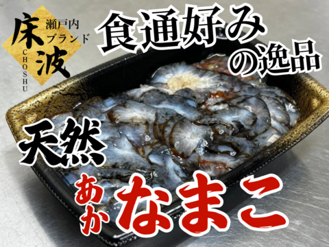 食わず嫌いを覆す味】初体験の旨み領域へ誘う長州床波の極み肴『極み赤