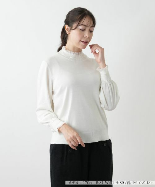 楽天市場】レリアン 13号の通販