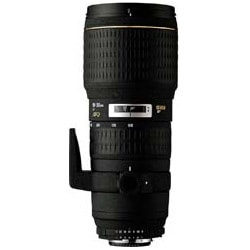 ヨドバシ.com - シグマ SIGMA APO 100-300mm F4 EX DG/HSM [ニコン用