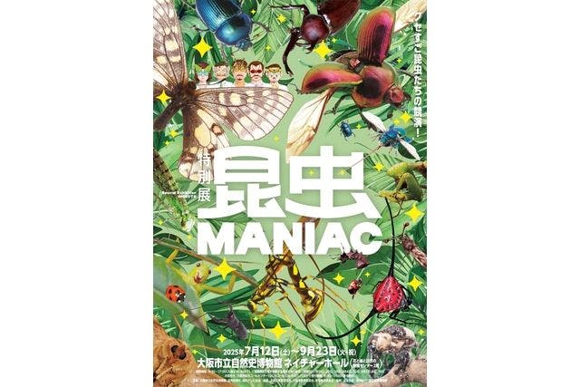 当日券】特別展 『昆虫 MANIAC』 @大阪市立自然史博物館 - 特別展