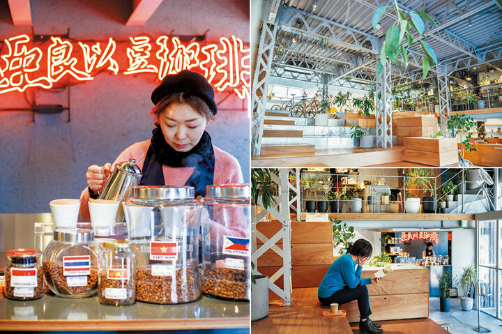 グリーンプランツの専門店でコーヒーを飲みながらグリーン探し。清澄