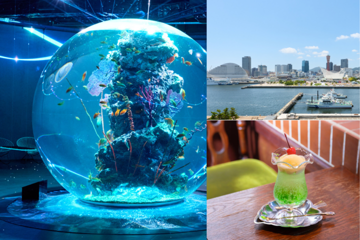 夏の涼を感じる、大人の神戸ひとり旅♪日本最大級の球体水槽がある