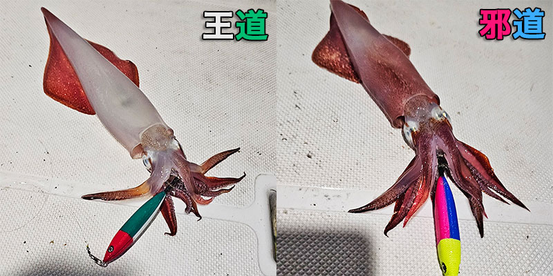 クレイジーオーシャン「イカメタル鉛スッテ」メタラー(王道・邪道