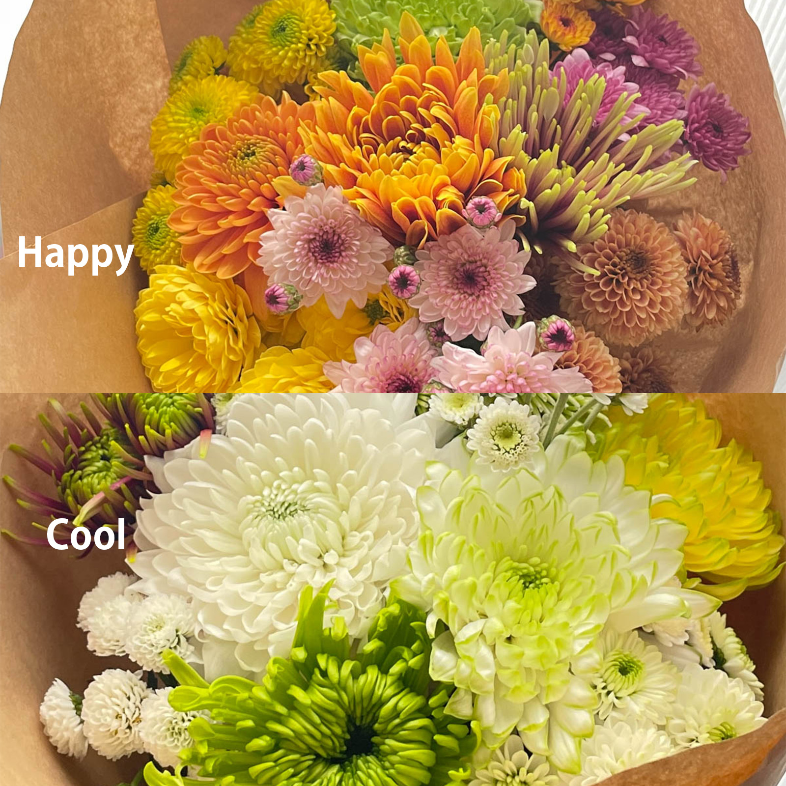 マムブーケセット】～Happy/Cool～＊送料無料＊ | マム大学オンライン