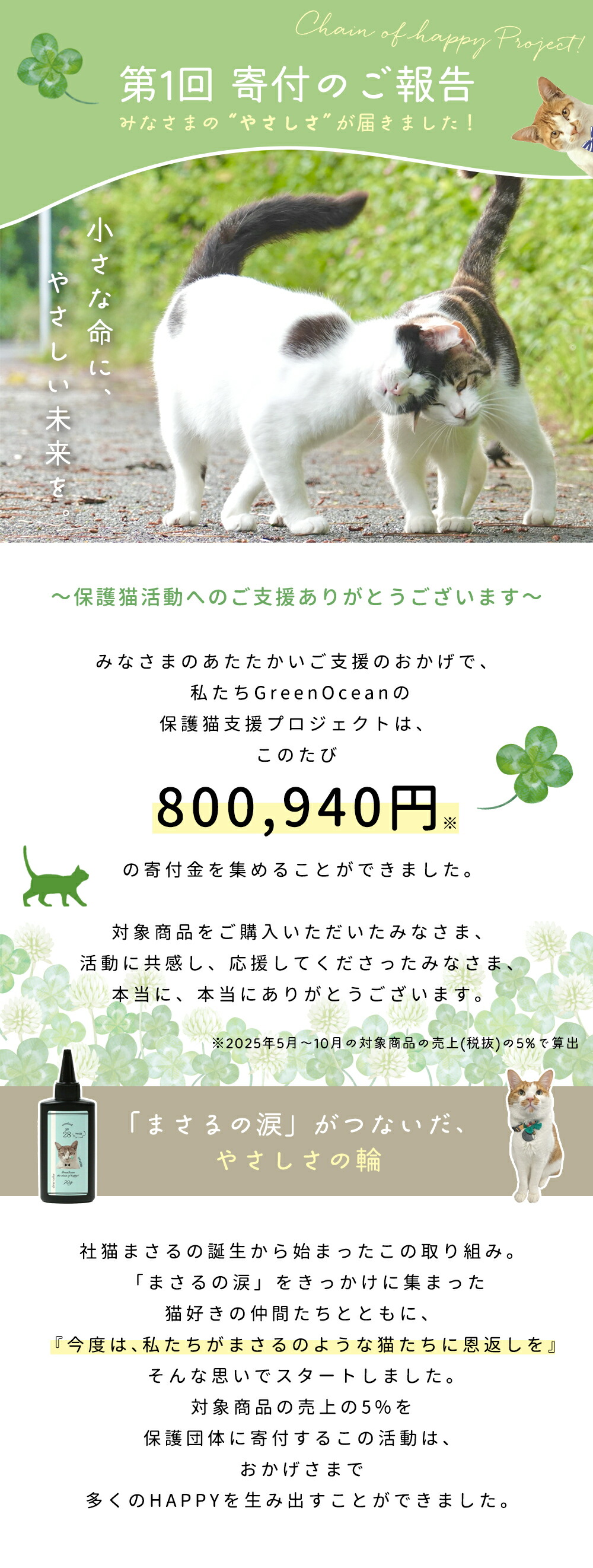 保護猫支援】第1回寄付のご報告｜みなさまの“やさしさ”が届きました