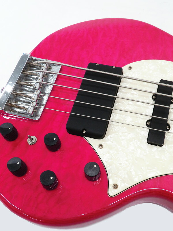 GrassRoots】グラスルーツ『5弦エレキベース』G-T-80BD 2012年製 1週間