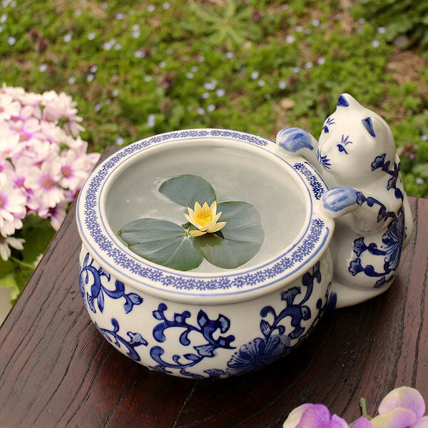 金魚鉢 おしゃれ 陶器 メダカ鉢 睡蓮鉢 和風 レトロ アンティーク ネコ