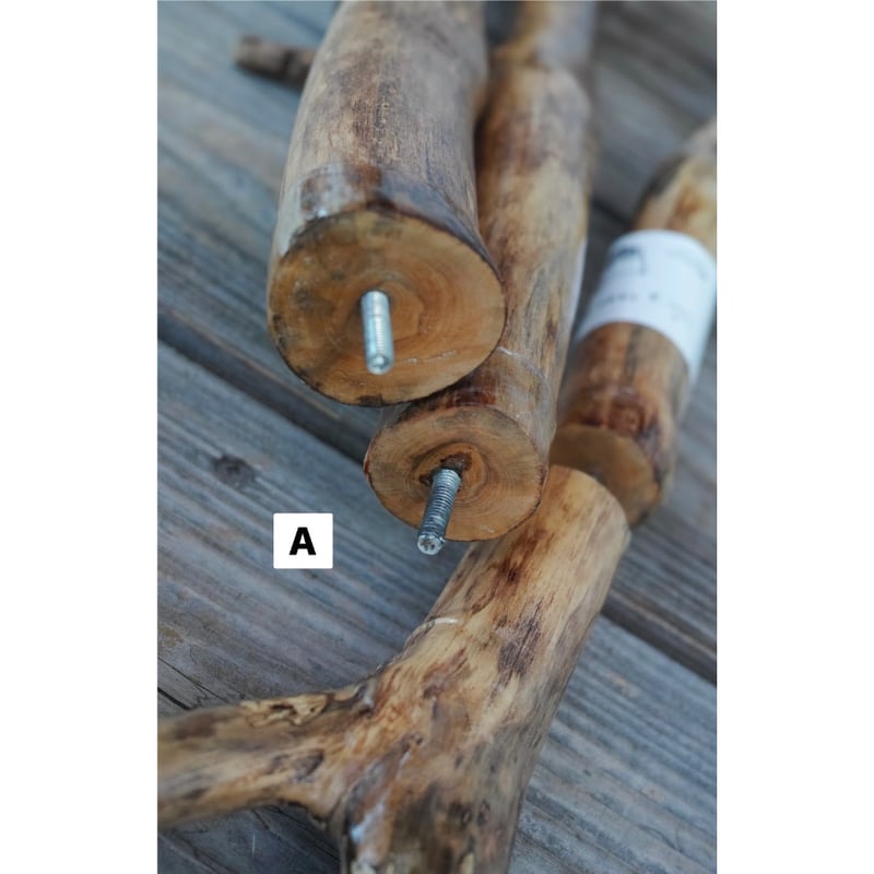 ENTOHOポール | Purveyors