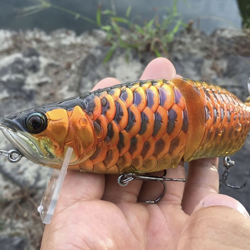 AROWANA（アロワナ） | soradesign