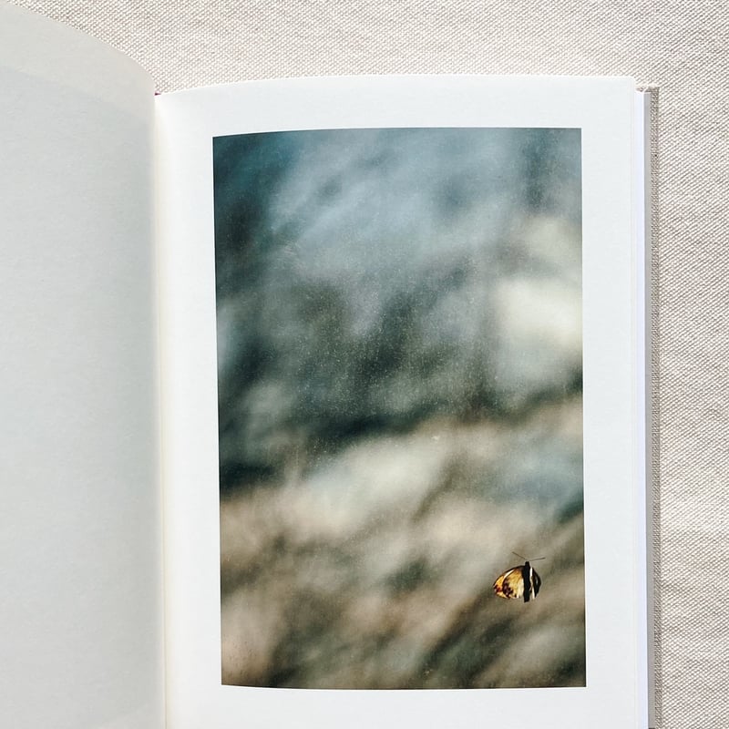 山上新平｜KANON | 曲線