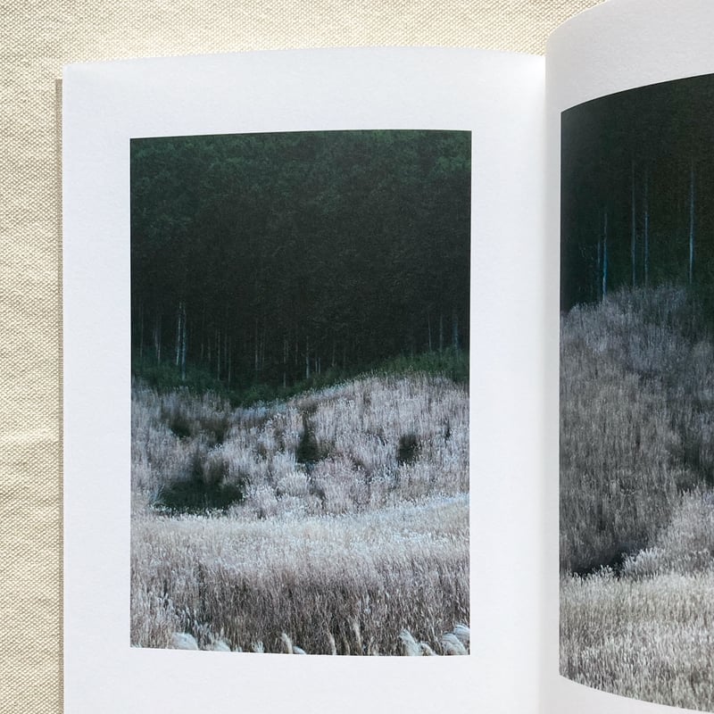 山上新平｜KANON | 曲線