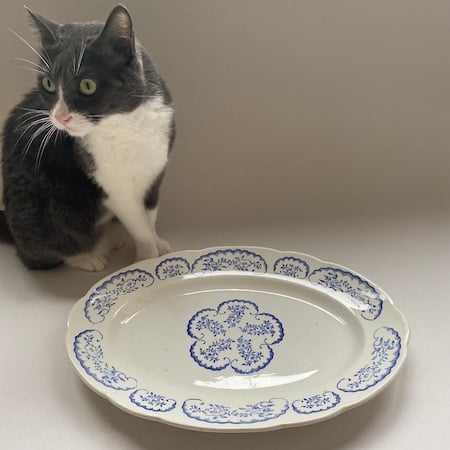 2025年1月1日 フランス郵便料金改定のお知らせ。 | campagne à