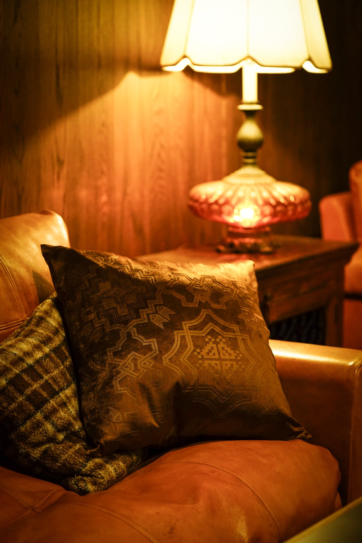 Veroa Cushion Cover | old mountain