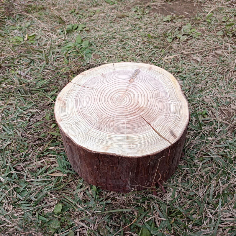 薪割り台 切り株 ひのき 丸太 約19x19cm 厚さ約9.5cm | wildoutdoor