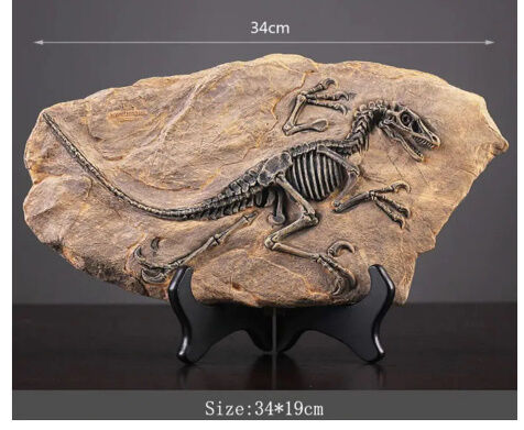 オブジェ】 置物 インテリア 化石 型 恐竜の骨 ティラノサウルス