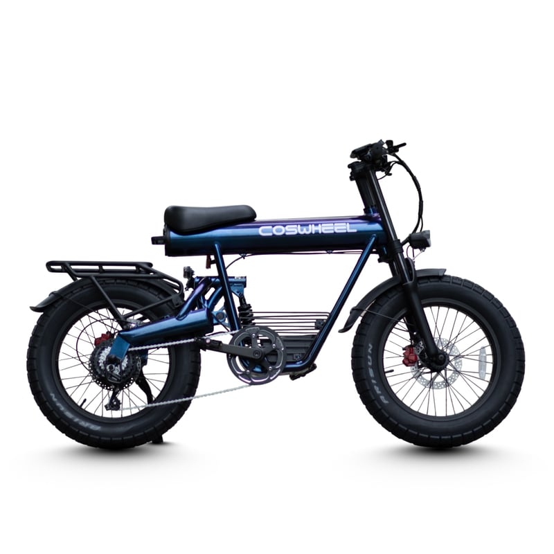 2025 NEW MODEL COSWHEEL MIRAI COMFORT 電動アシスト自転車