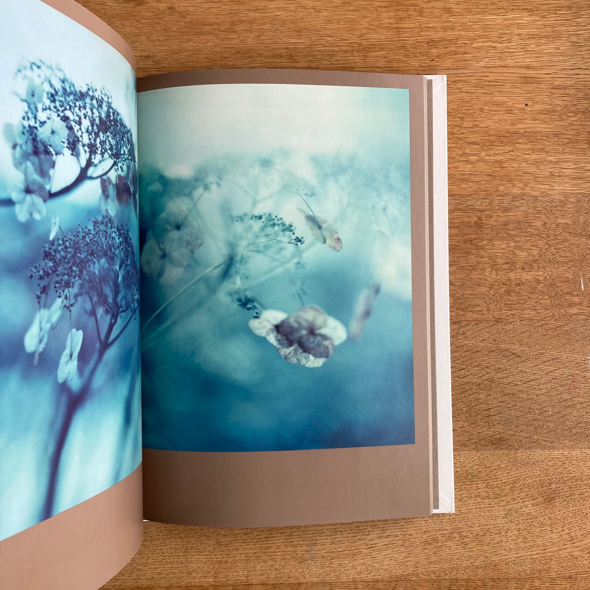 Darren Almond｜The Civil Dawns | WHITEGREEN GALLERY