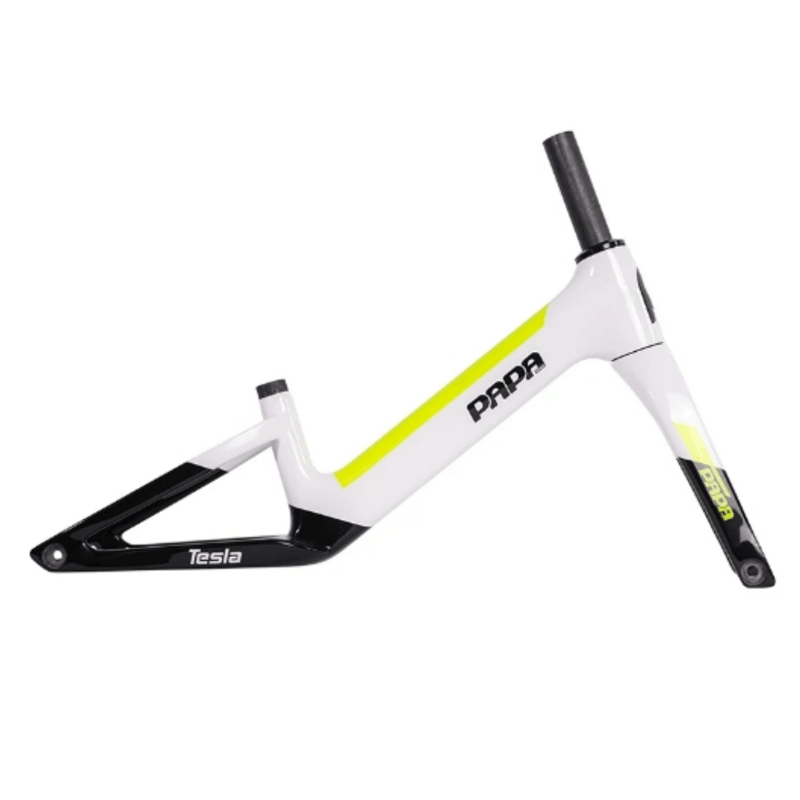 TESLA | PAPABIKE JAPAN