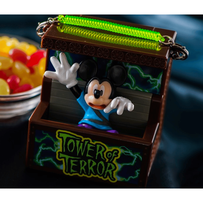 東京ディズニーリゾート タワーオブテラー スナックケース ミッキー