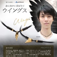 ☆ファイテン☆phiten☆[羽生結弦選手]RAKUWAブレスレット