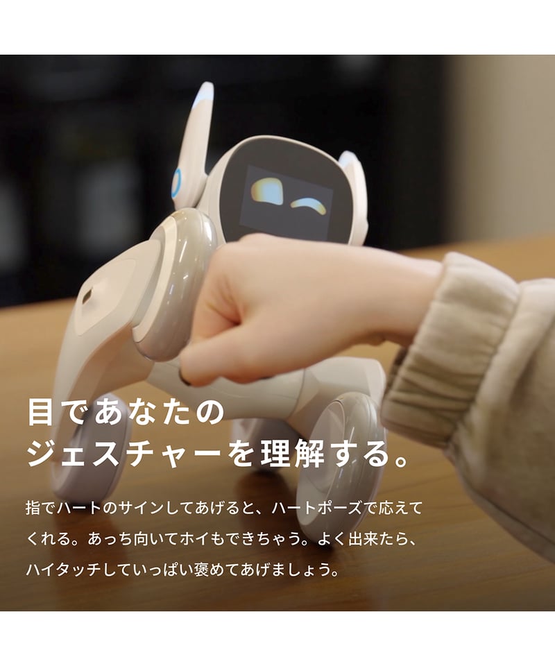 Loona Blue【ルーナ ブルー】 | Robot Planet Online store