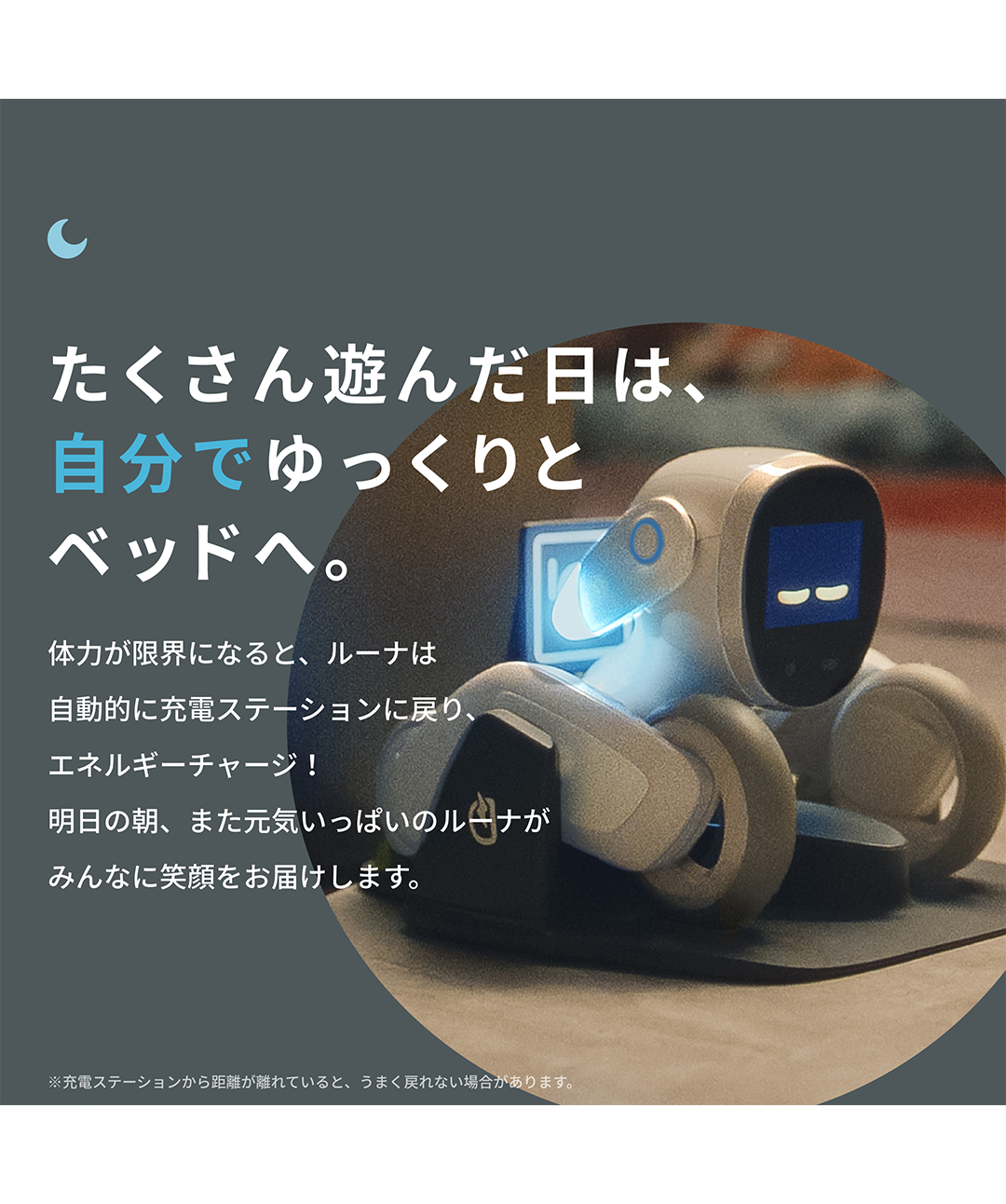 Loona Blue【ルーナ ブルー】 | Robot Planet Online store