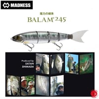 MADNESS JAPAN / マドネスジャパン 【 BALAM 300 / バラム 300】