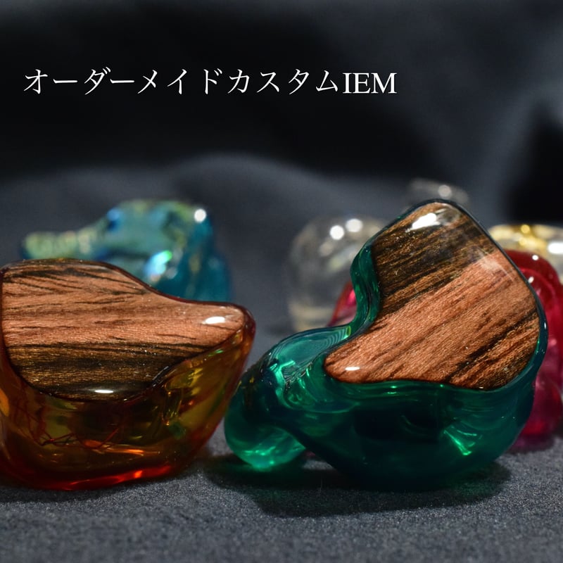 イヤホンリモールドサービス カスタムIEMシェル | NEWTON STORE