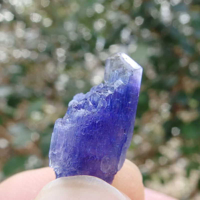 非加熱タンザナイト原石【特典付き】 | Crystal Light