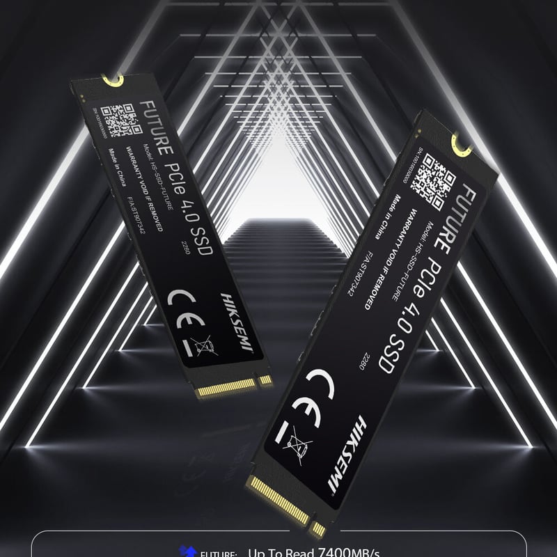 HIKSEMI(ハイクセミ) FUTURE 内蔵SSD NVMe PCIe Gen 4×4 P