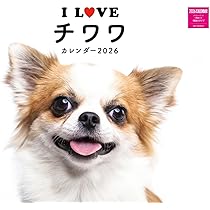 613flFqi1eL._AC_UL210_SR210,