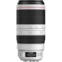 Amazon.co.jp: EF100-400mm F4.5-5.6L IS II USM : 家電＆カメラ