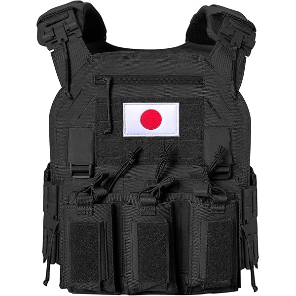 Amazon.co.jp: FLYYE FAPC GEN2 with Additional mobile plate carrier