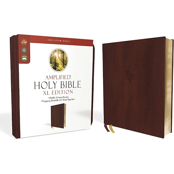 Amplified Holy Bible, XL Edition, Leathersoft, Brown: Zondervan