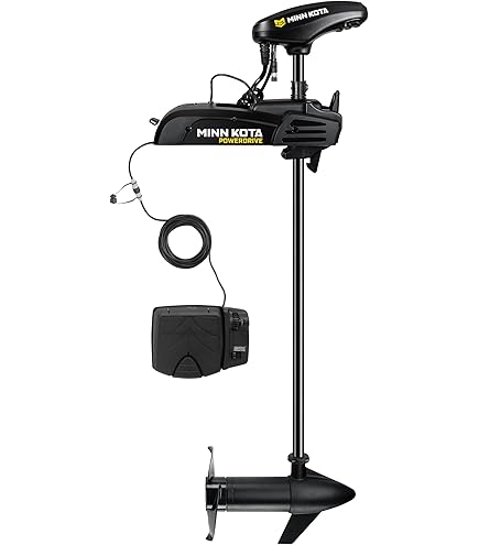 アミン Teon(テオン)アミン リファイン テオンDX REFINE TEON DX