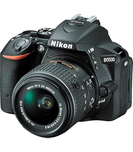 Amazon.com : D5600 DX-Format Digital SLR w/AF-P DX NIKKOR 18-55mm