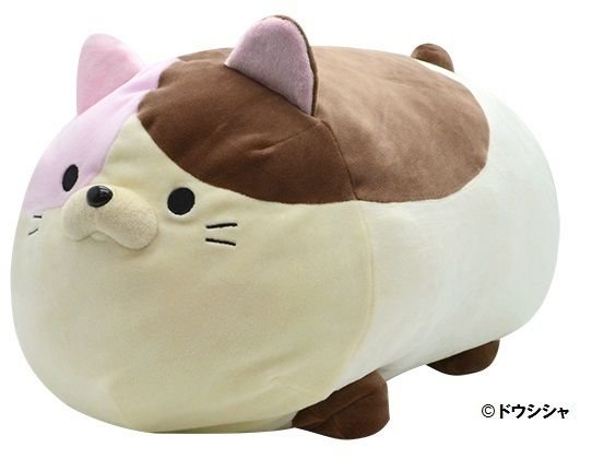 明治神宮前》もちふわの〝ごろねこ〟たちが、再びキデイランドを