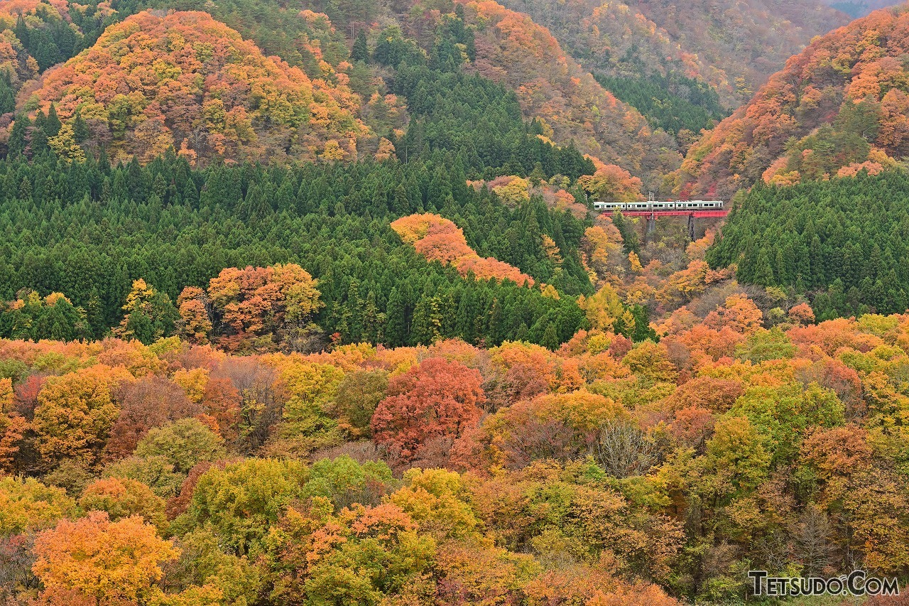 秋の鉄道風景写真は「逆光がベスト」!? 紅葉や黄金色の田園風景、中秋