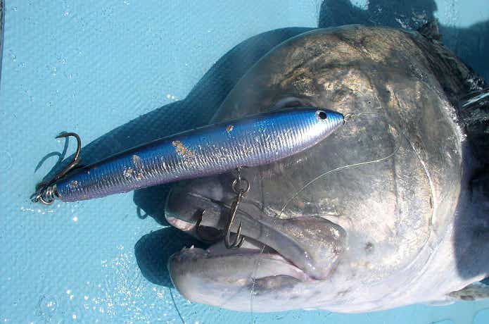 カーペンター『ガンマ』人気シリーズやガンマジャークのコツを解説