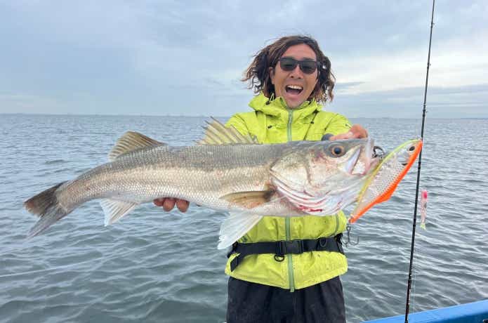 東京湾のビッグベイトシーバス。ハイシーズンを釣り切るポイントを現役