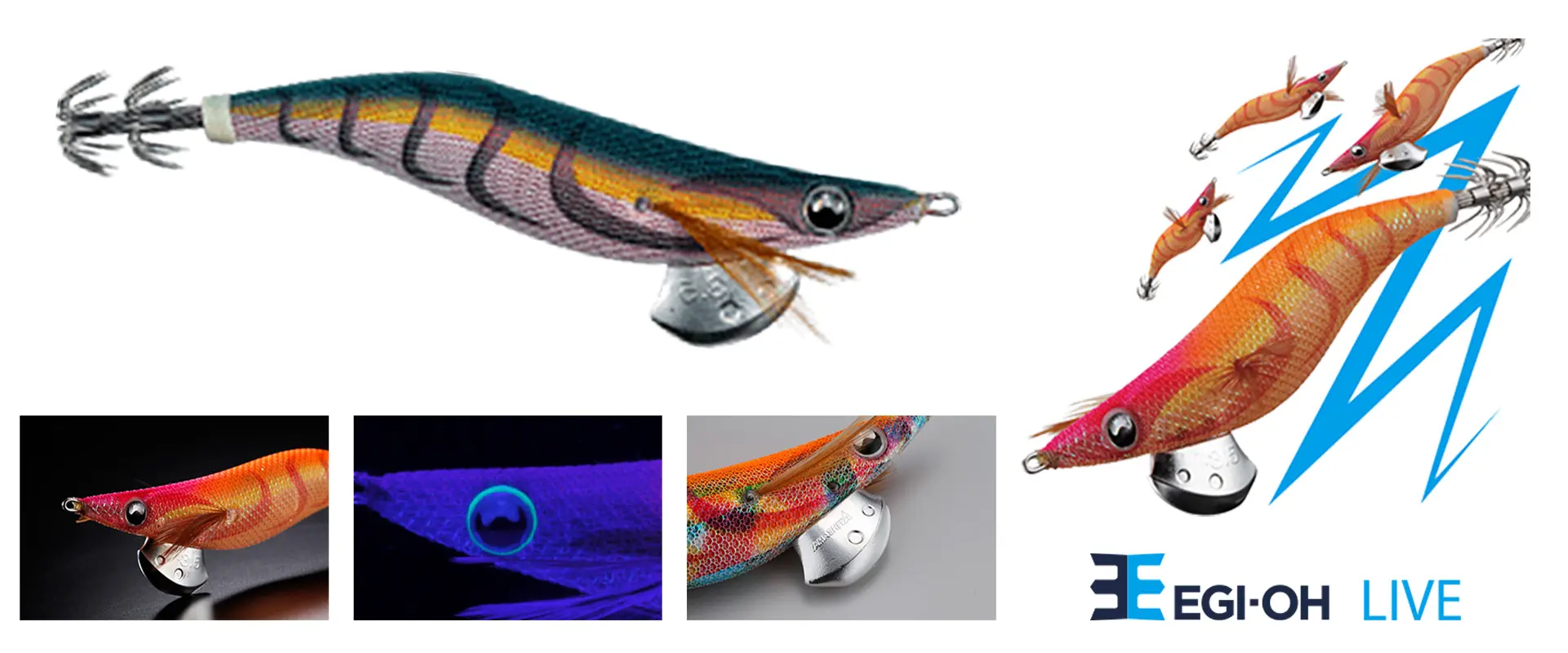 エギ王K 軍艦グリーンなぜ人気？廃盤って本当？売ってないの？