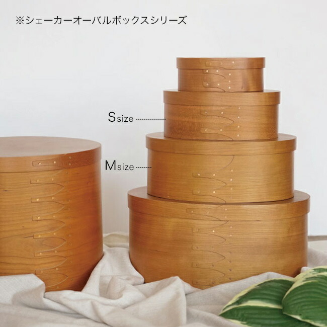 シェーカーオーバルボックス S・Mセット[アクシス AXCIS シェーカー